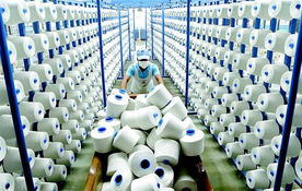 堅持質(zhì)量效益型之路